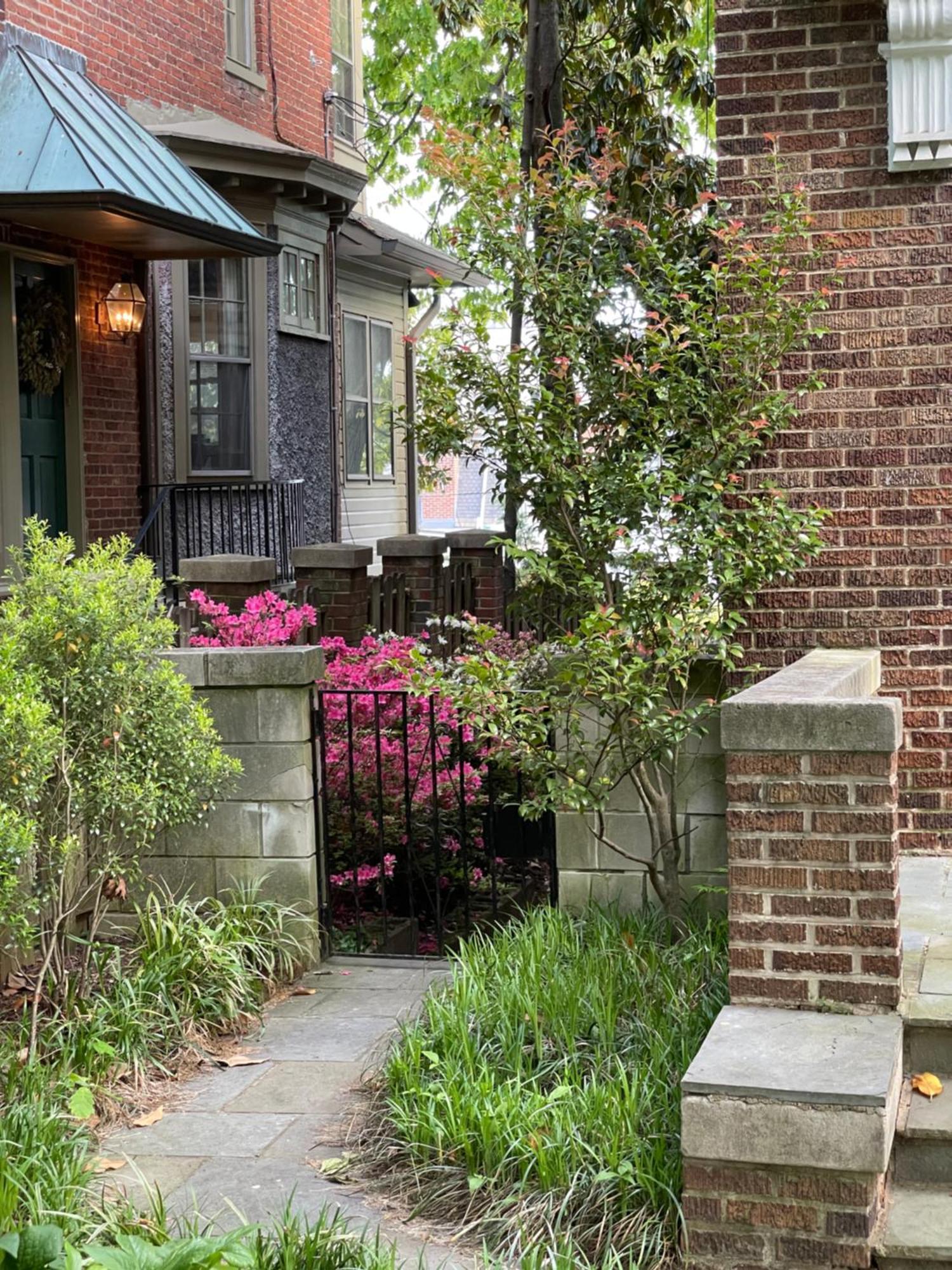 2 Bedroom By Zoo, Metro, Park And Embassies In Forest Hills - Best Location Washington Exteriör bild